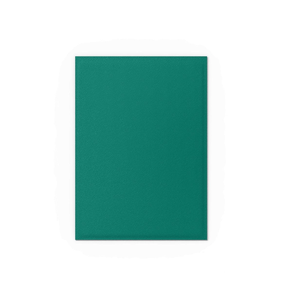 Dragon Shield Sleeves: Standard Matte Dual - Power &amp; Copper 100CT