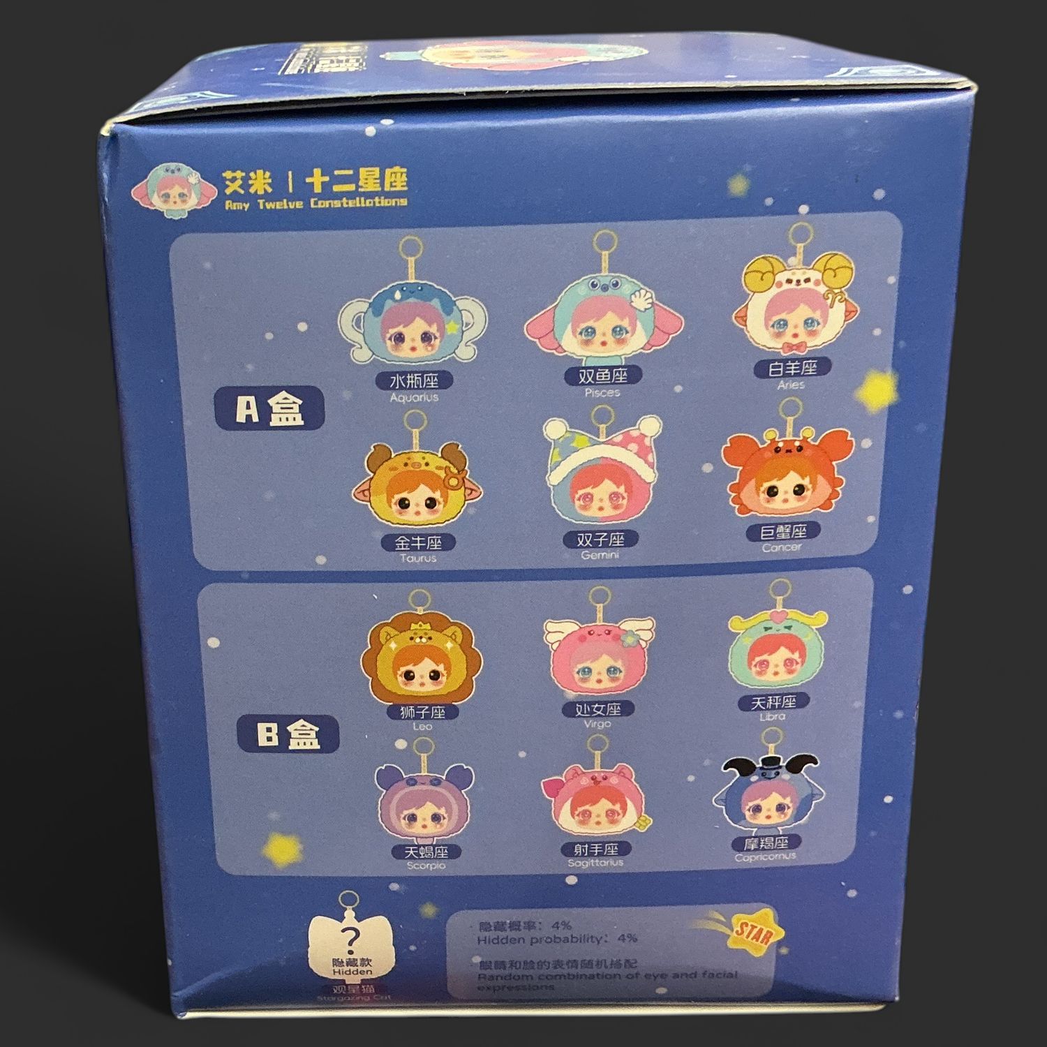 Amy 12 Constellations Series Blind Box