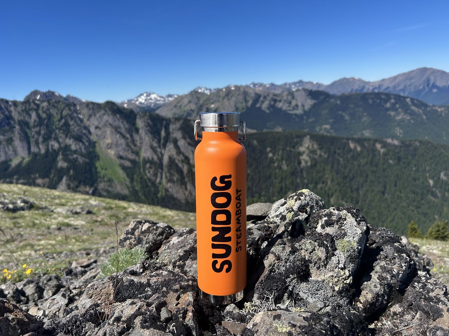 Skier on Fire - Water Bottle