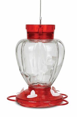 Glass Hummingbird Feeder 29oz