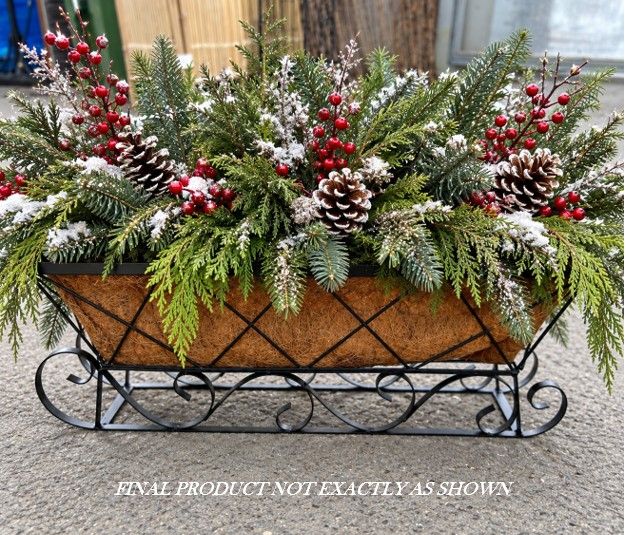 Winter Sled Arrangement - NOV 22 - ($69.99)