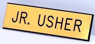 BADGE-JR USHER PIN GOLD