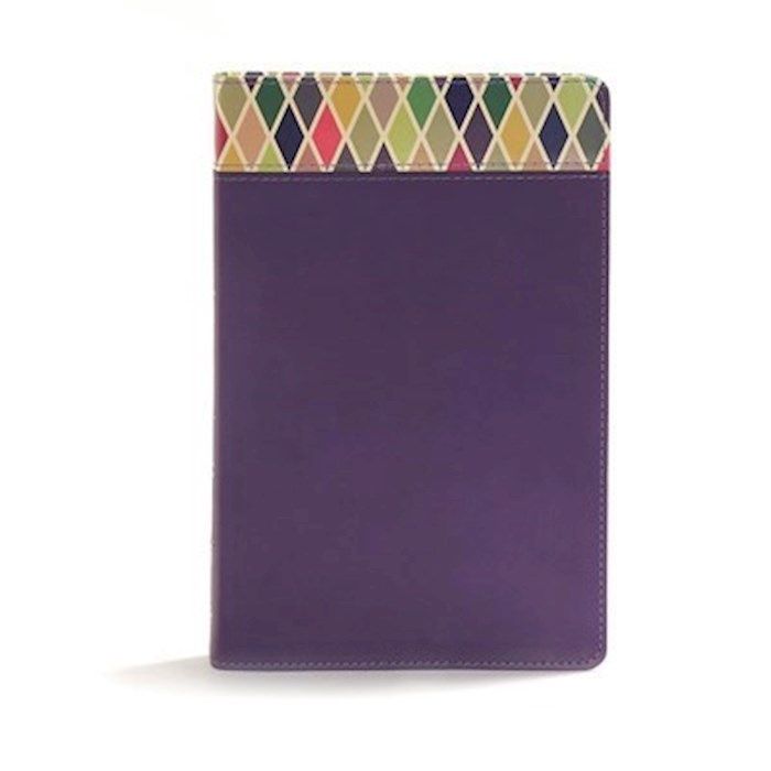 CSB RAINBOW STUDY BIBLE PURPLE LEATHERTOUCH