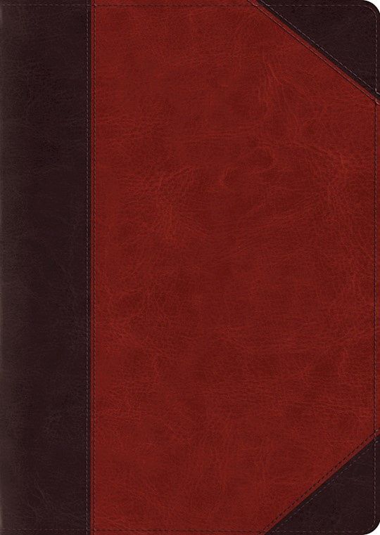 ESV STUDY BIBLE LARGE PRINT BROWN CORDOVAN PORTFOLIO DESIGN TRUTONE