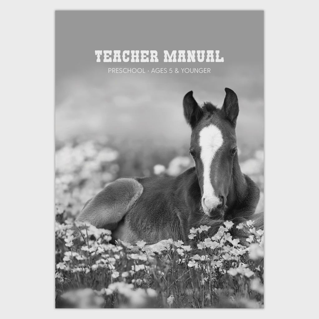 2026 VBS REIGNING WITH PURPOSE PRESCHOOL TEACHER MANUAL AGES 5 &amp; YOUNGER