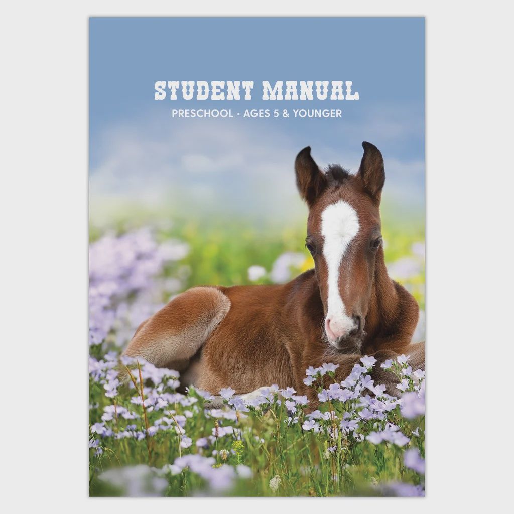 2026 VBS REIGNING WITH PURPOSE PRESCHOOL STUDENT MANUAL AGES 5 &amp; YOUNGER