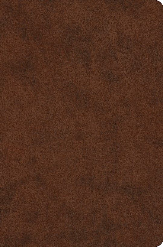 ESV VALUE COMPACT BIBLE BROWN TRUTONE