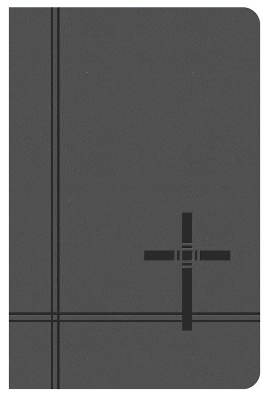 KJV DELUX GIFT &amp; AWARD BIBLE GRAY
