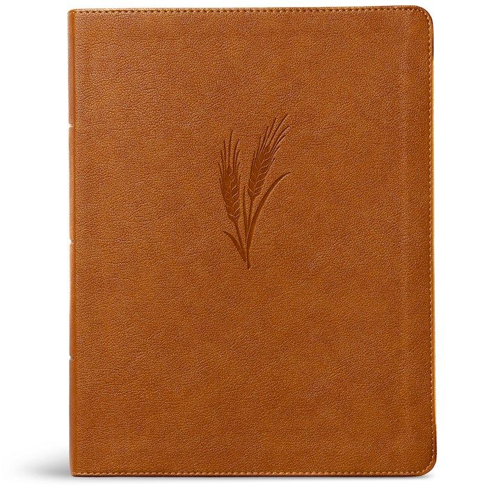 CSB Notetaking Bible/Large Print Edition-Camel Leathertouch