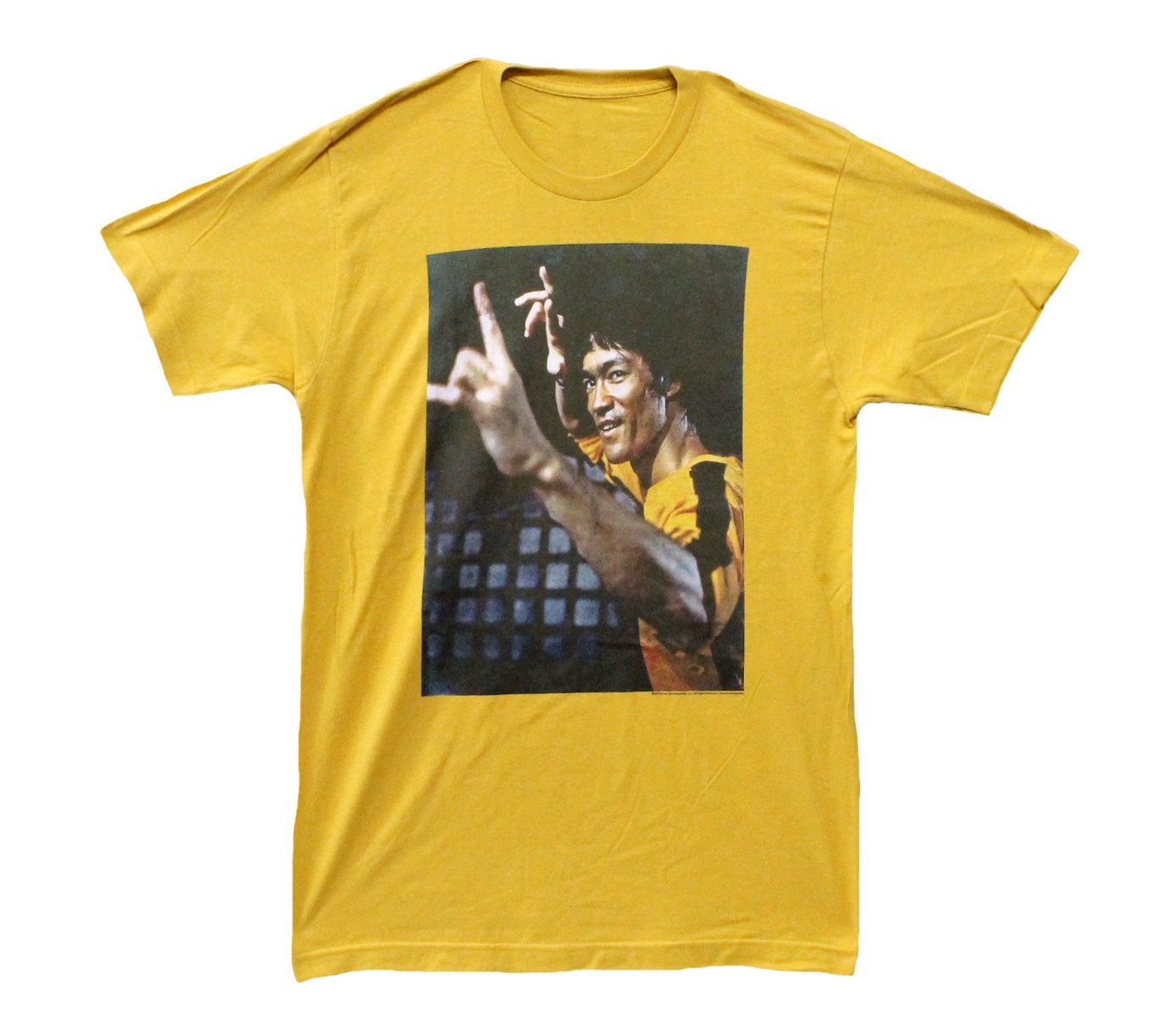 Bruce Lee Fighting Stance - Ginger