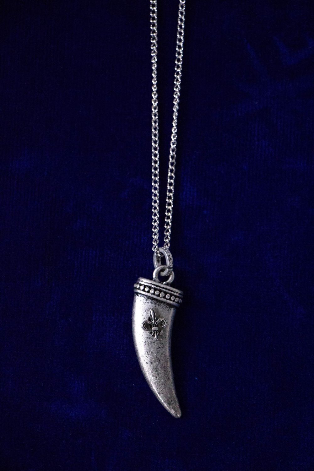 Horn w/ Fleur De Lis Necklace