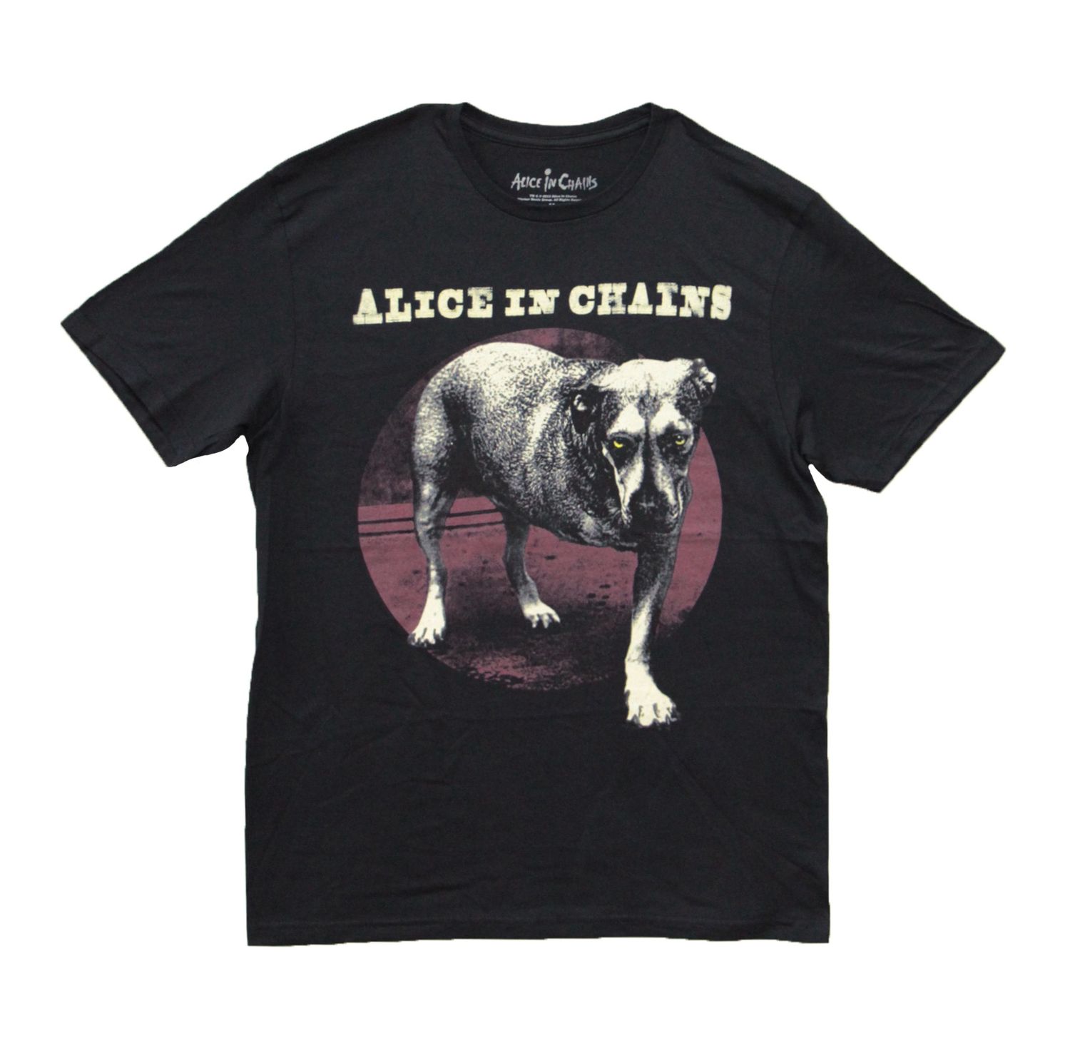 Alice in Chains - Self Titled Tripod - BLK