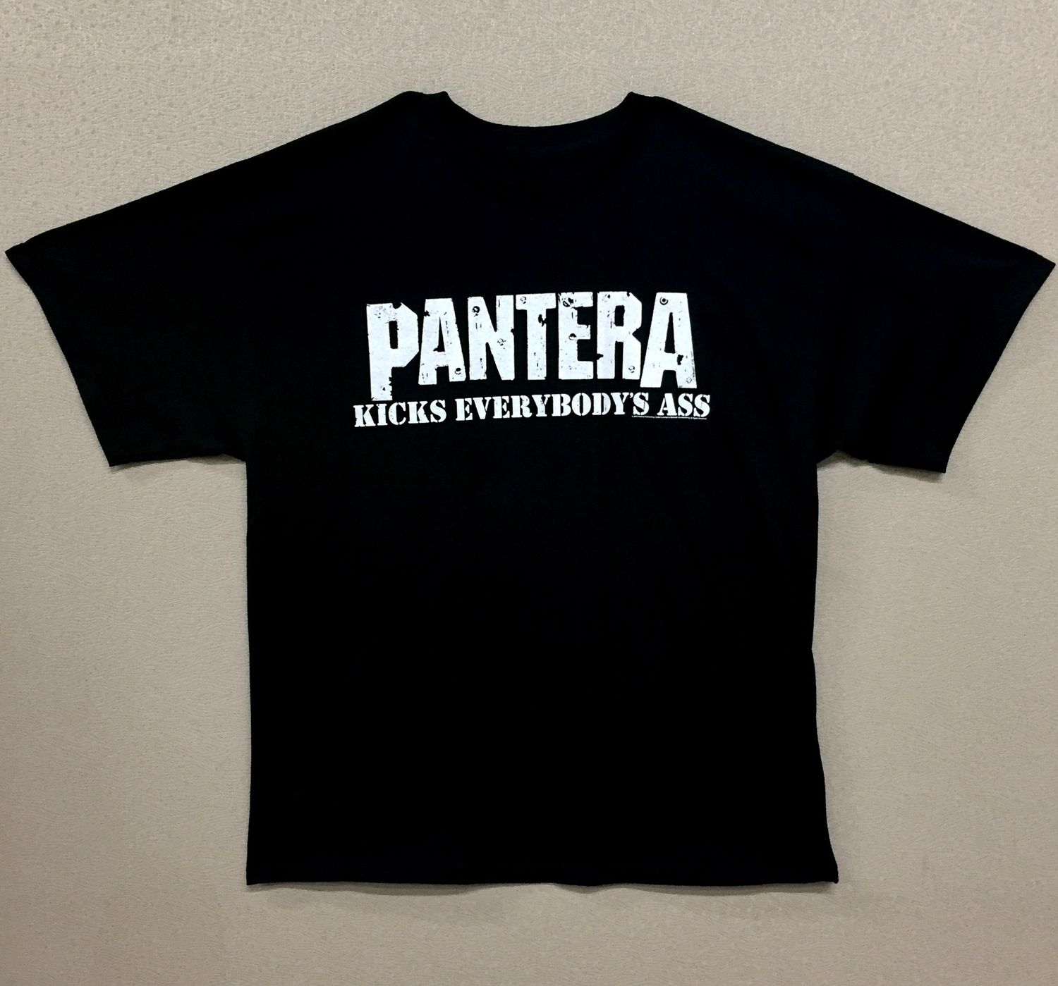 Pantera Kicks Everybodys Ass