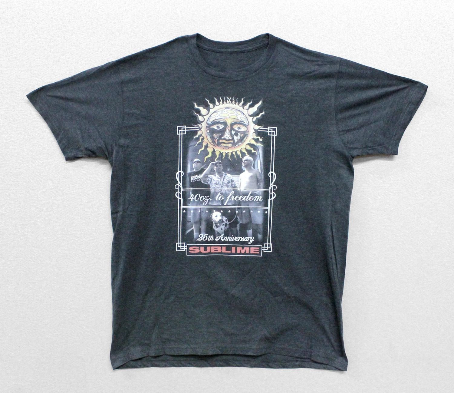 Sublime Group Photo 25th Anniv.-Heather Grey