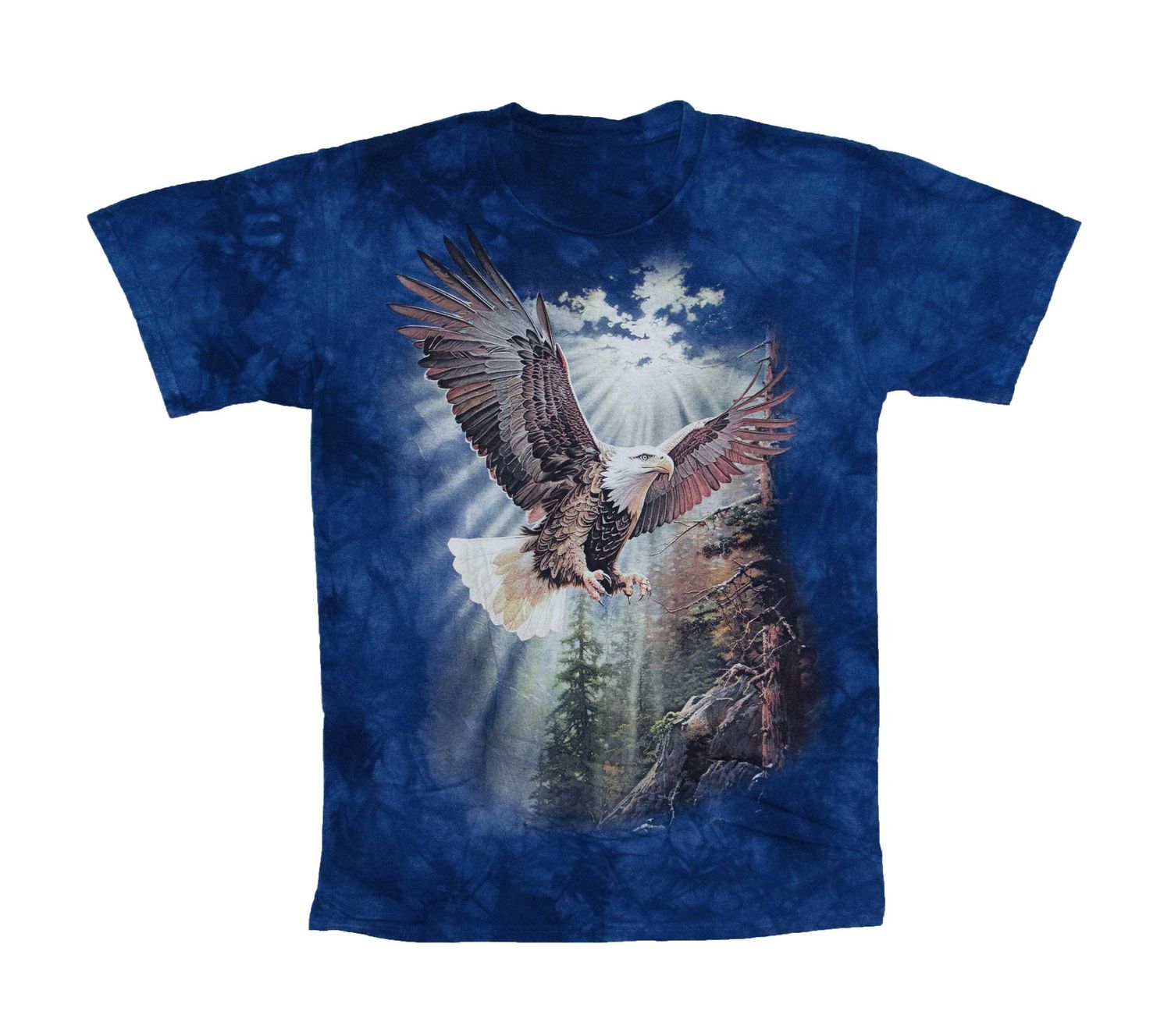 Fantasy - Eagle Landing - TD