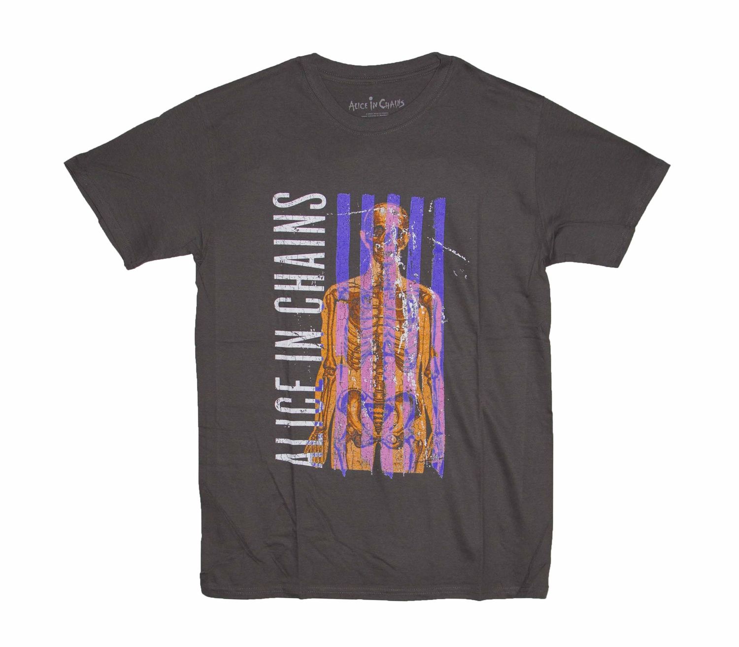 Alice In Chains Skeletal - Charcoal