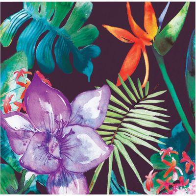 BN 12/24CT 3P BOLD TROPICS PARADISE