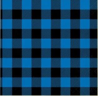 LUNCH NAPKIN  16CT  BLUE BLACK BUFFALO PLAID