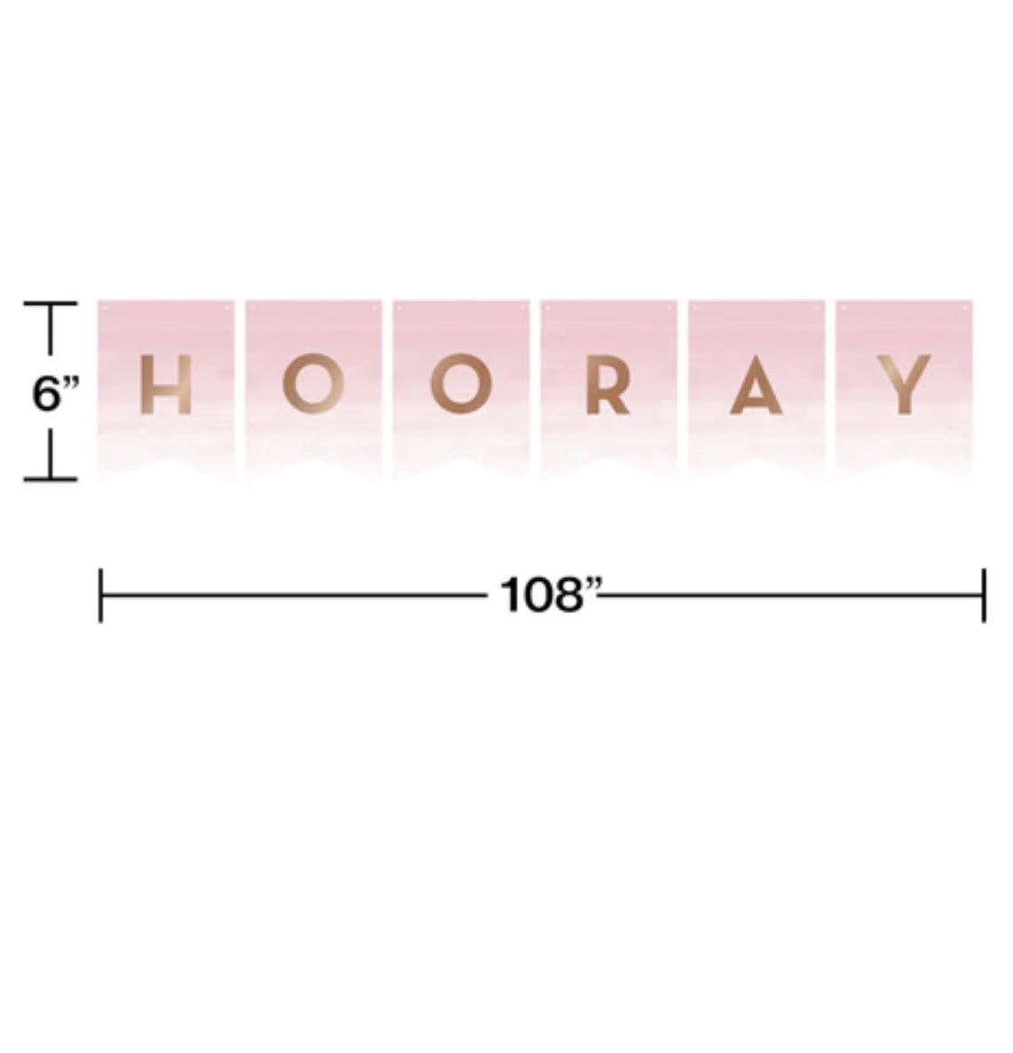 BNR SHP RIB 12/1CT DIY ROSE ALL DAY