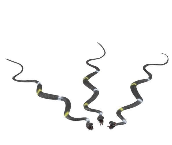 24&quot; VINYL SNAKE