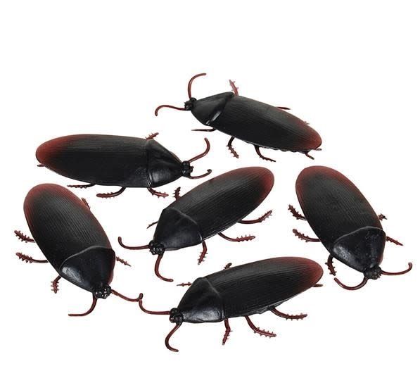 1.5&quot; COCKROACH 2/pkt