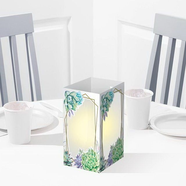 CP LANTERN 6/1CT GEOMETRIC SUCCULENTS CP LANTERN 6/1CT GEOMETRIC SUCCULENTS