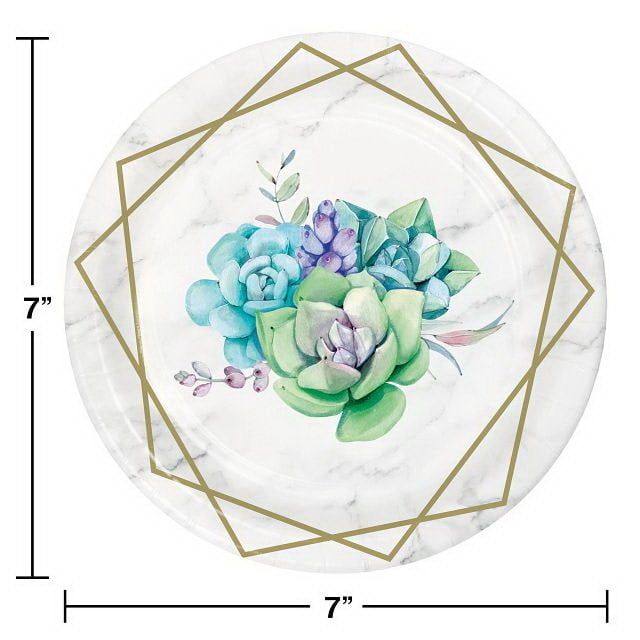 PLT7 SS 12/8CT GEOMETRIC SUCCULENTS PLT7 SS 12/8CT GEOMETRIC SUCCULENTS