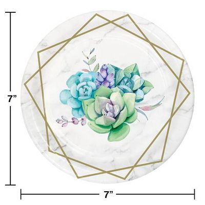 PLT7 SS 12/8CT GEOMETRIC SUCCULENTS PLT7 SS 12/8CT GEOMETRIC SUCCULENTS