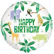 Animal Safari Balloon