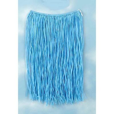 Blue Hula Skirt Blue Hula Skirt