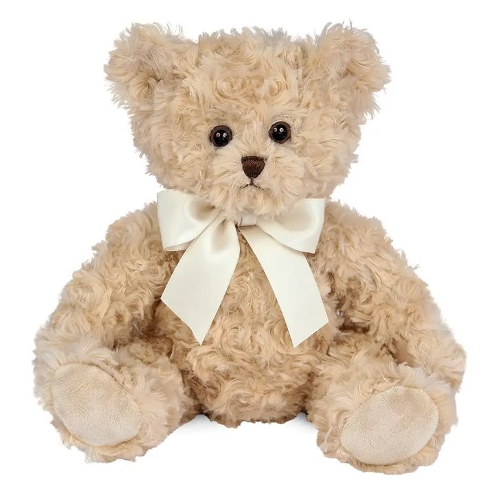 Lil&#39; Tate the Teddy Bear 12 INCH