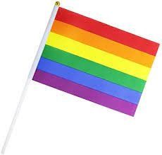 Rainbow Mini Pride Flag Rainbow Mini Pride Flag