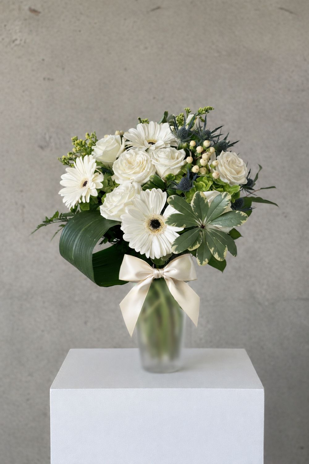 Sympathy & Get Well