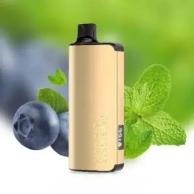 ALIBARBAR INGOT Blueberry Mint 9000