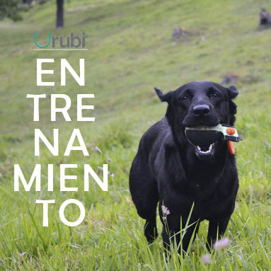 Material de entrenamiento