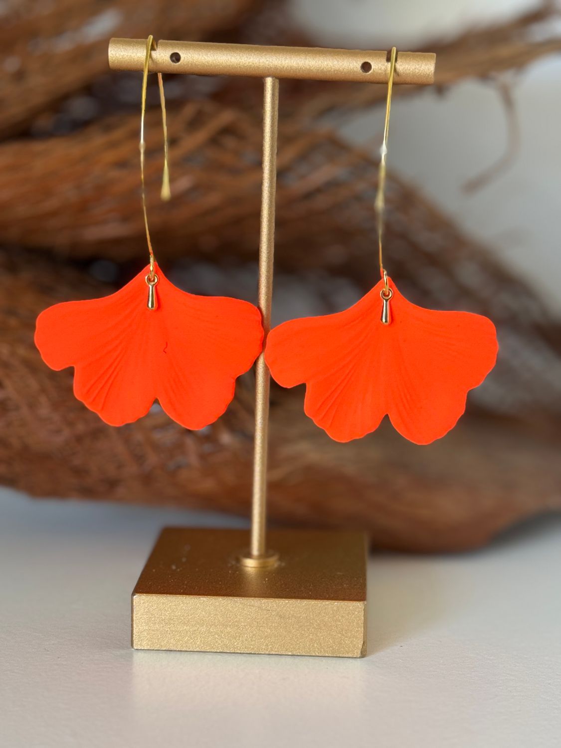 Ginkgo pop Ginkgo pop