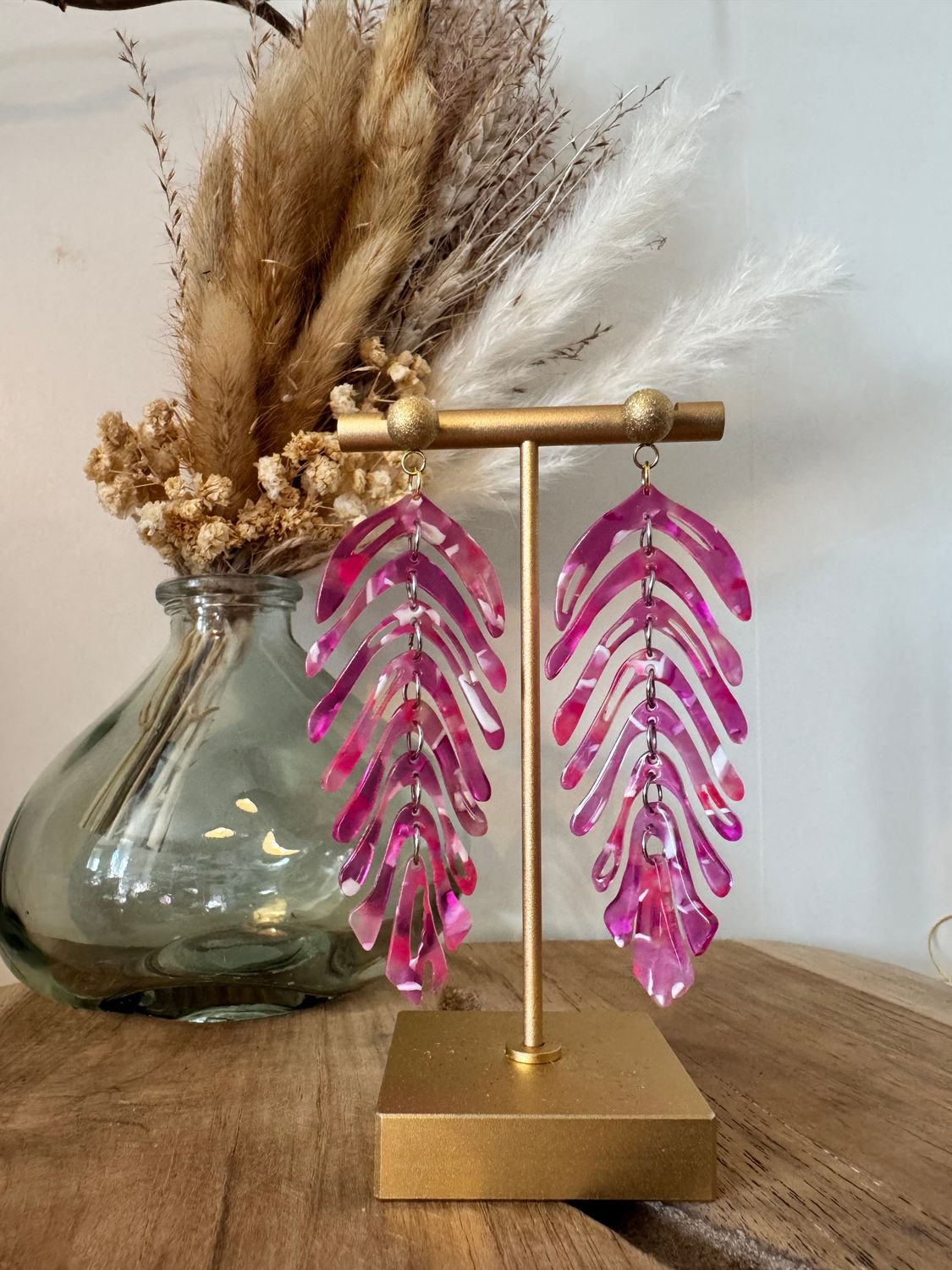 Fougères d'Orchidée Fougères d'Orchidée