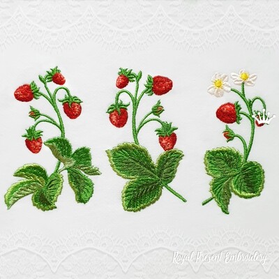 Realistic Strawberry Machine Embroidery Designs Set - 3 sizes