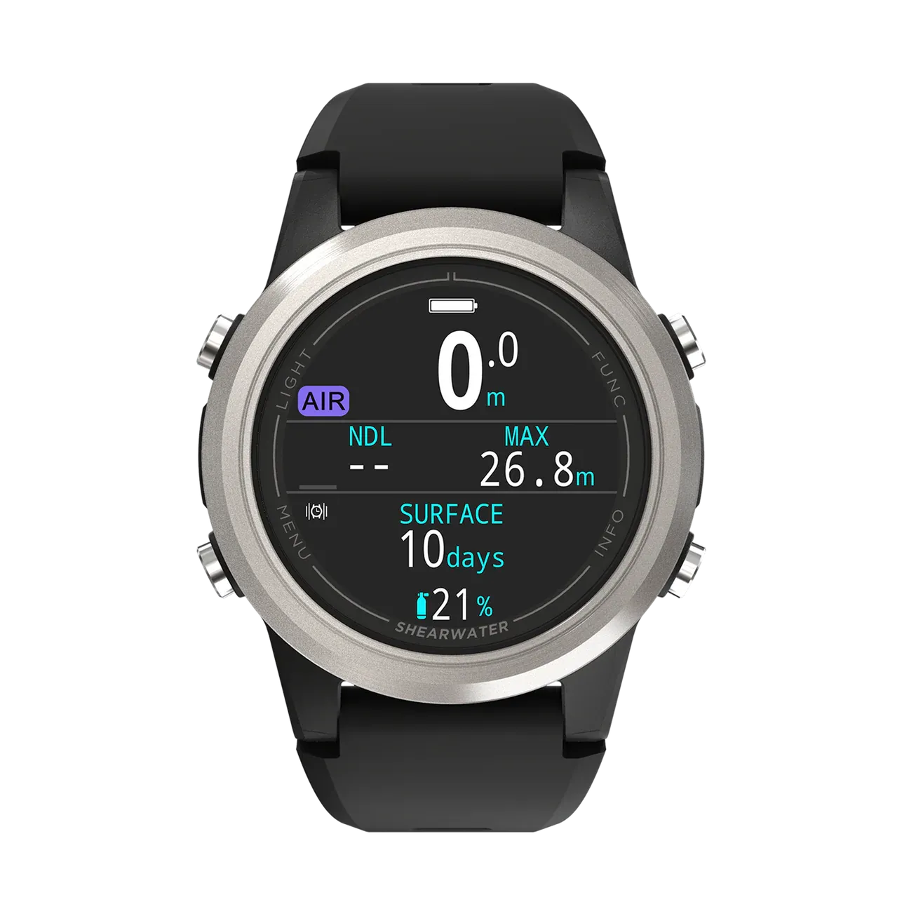 Shearwater Tern Silver