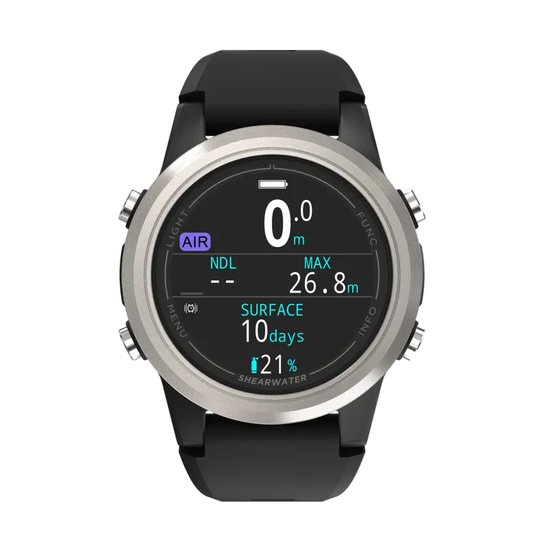 Shearwater Tern Silver