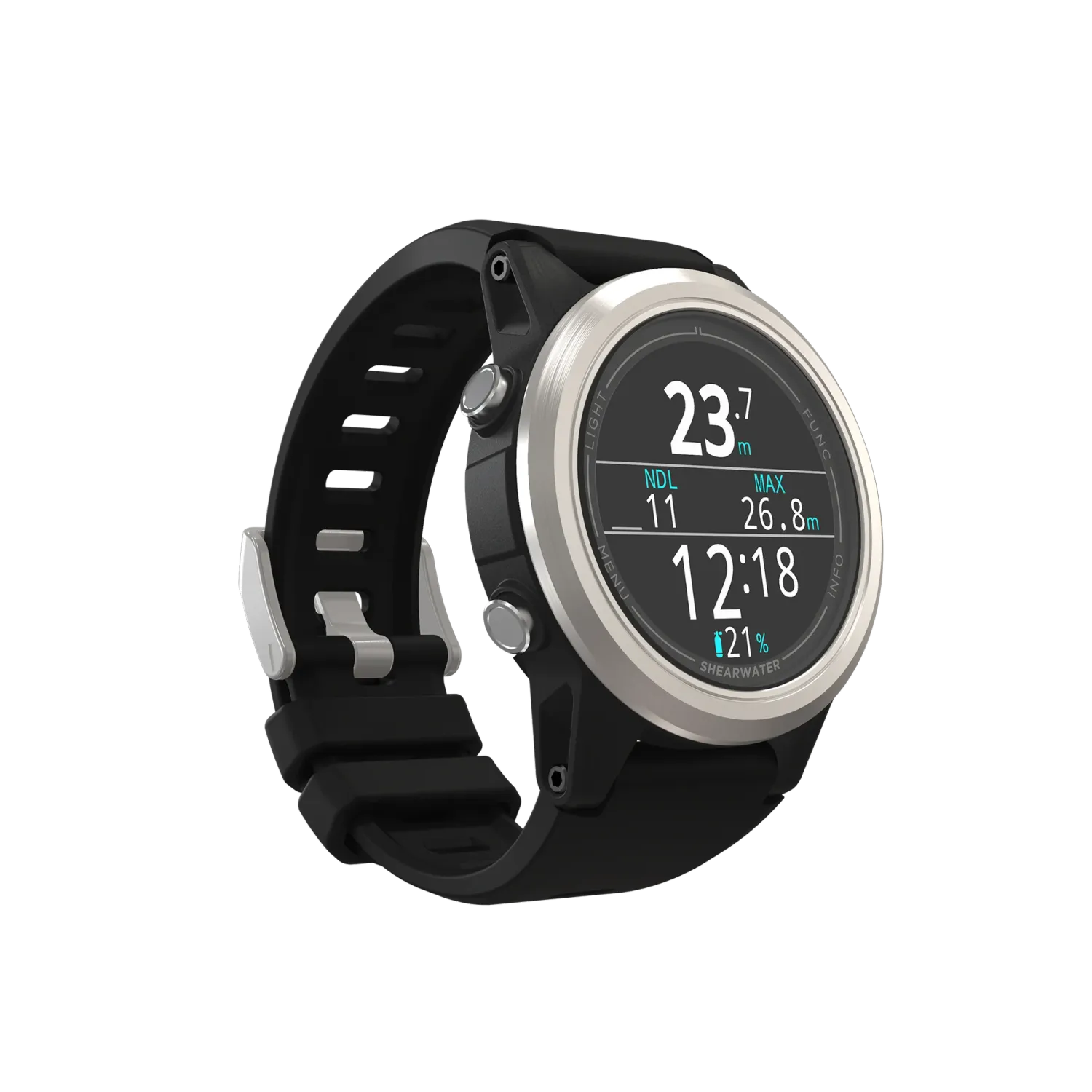 Shearwater Tern Silver