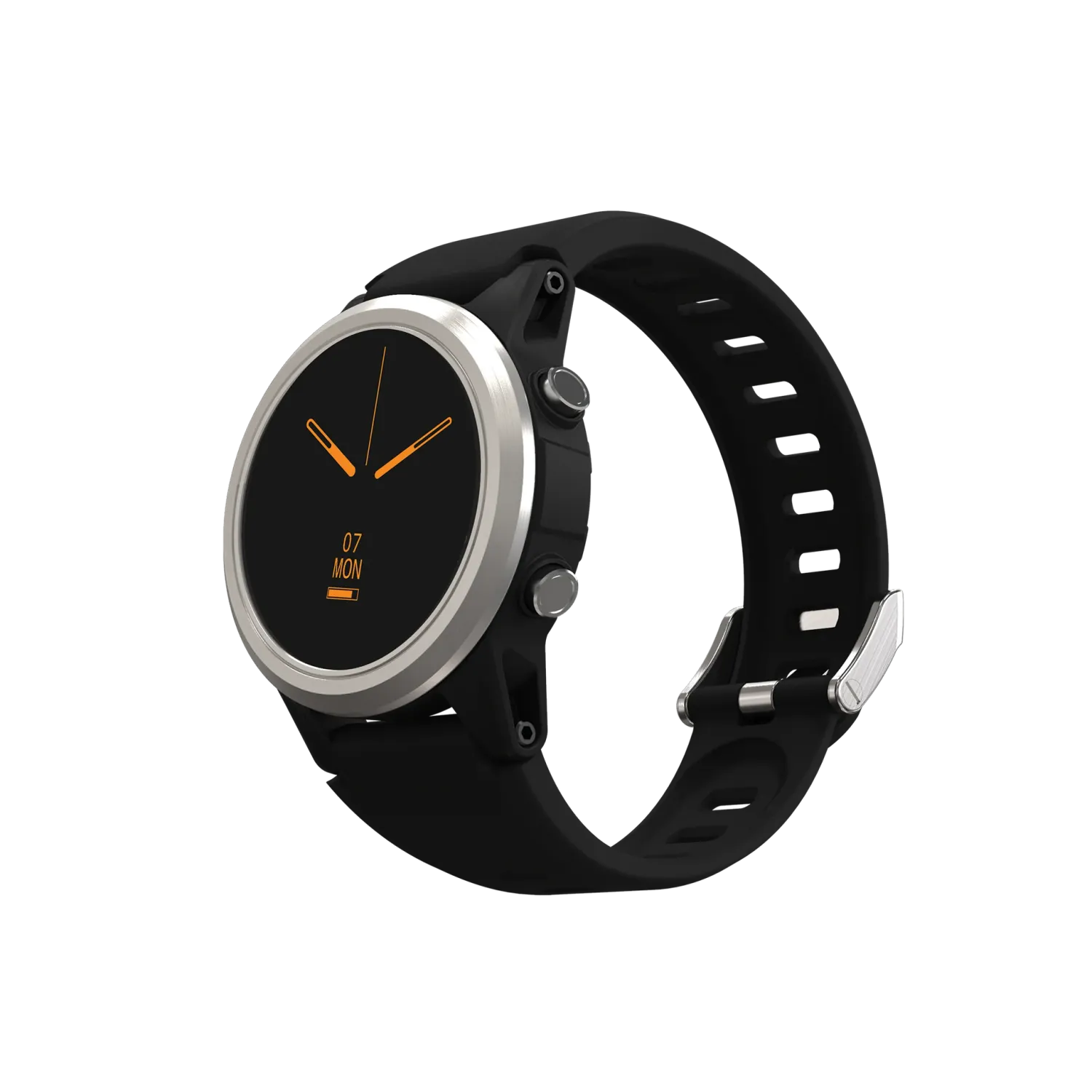 Shearwater Tern Silver