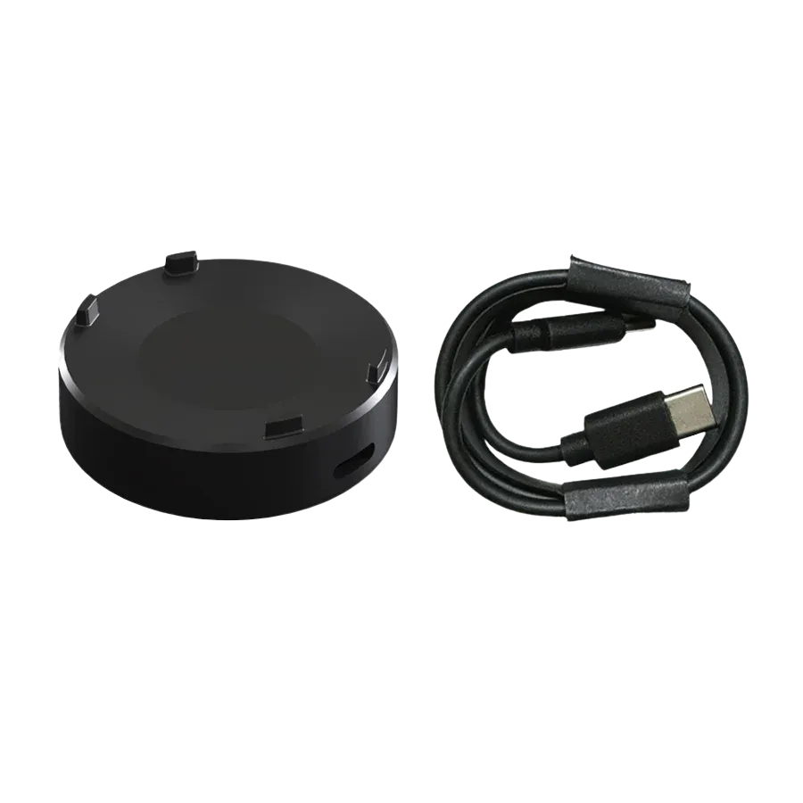 Shearwater Tern Silver