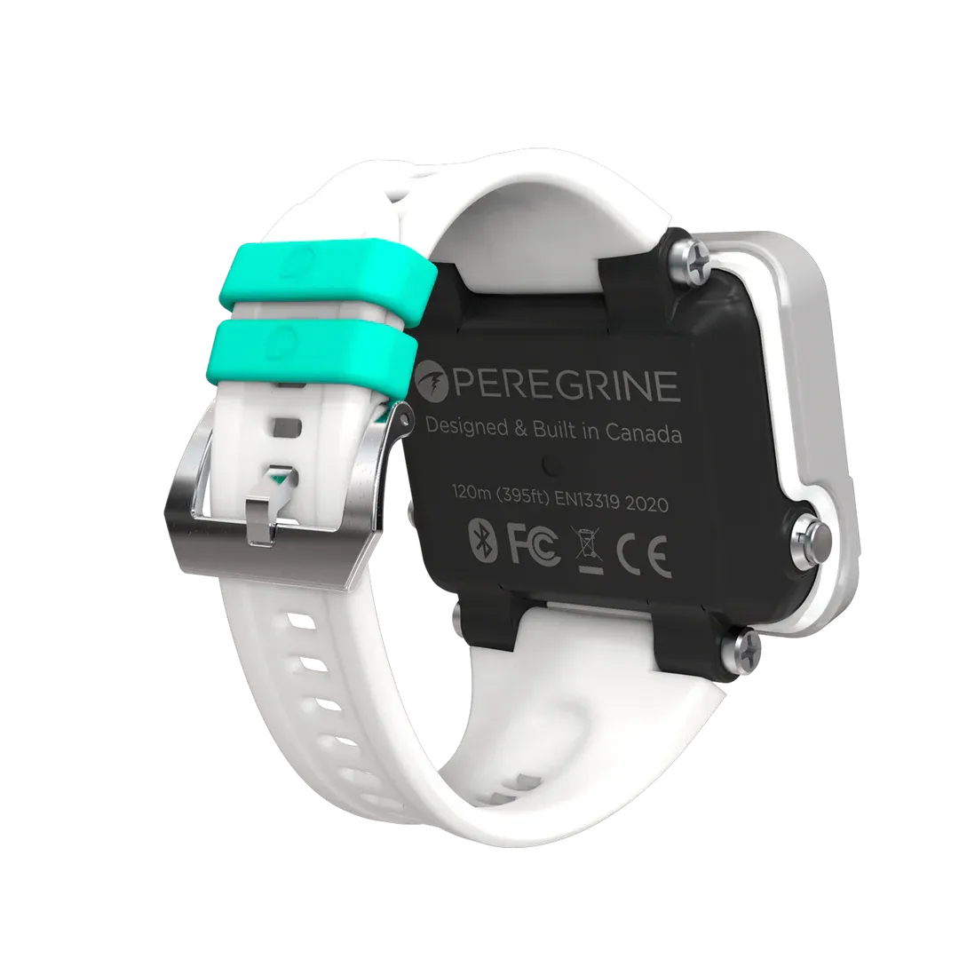 Shearwater Peregrine