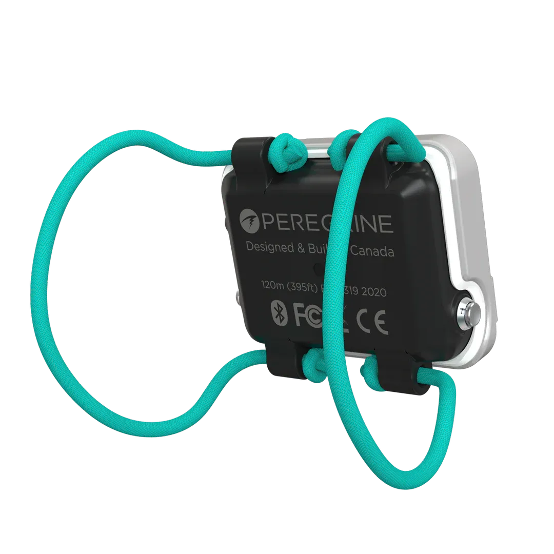 Shearwater Peregrine