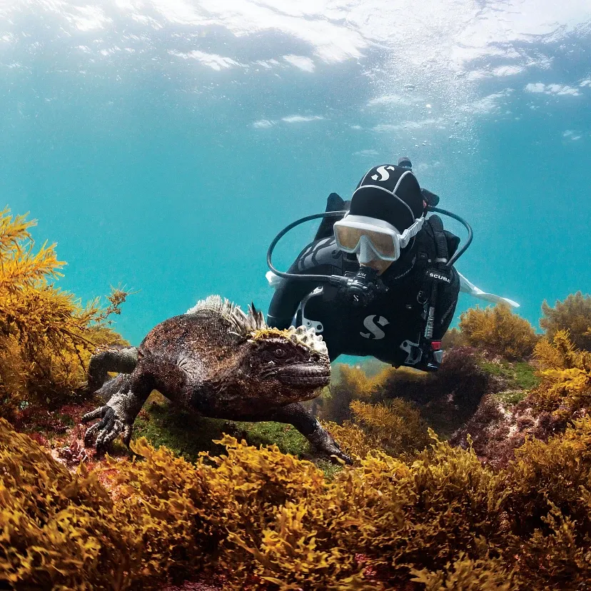 Scubapro Frameless Mask