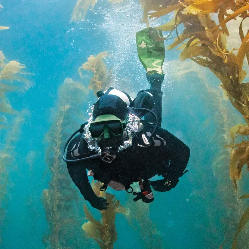 Scubapro Frameless Mask