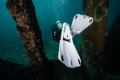Fins