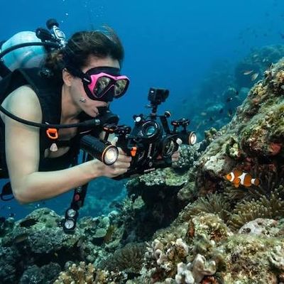 Camera Accessories
