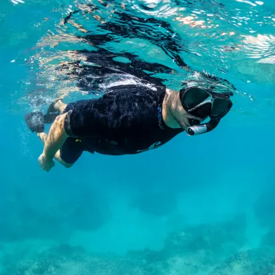 Snorkels